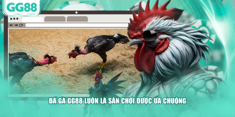 Đá gà GG88 luôn là sân chơi được ưa chuộng